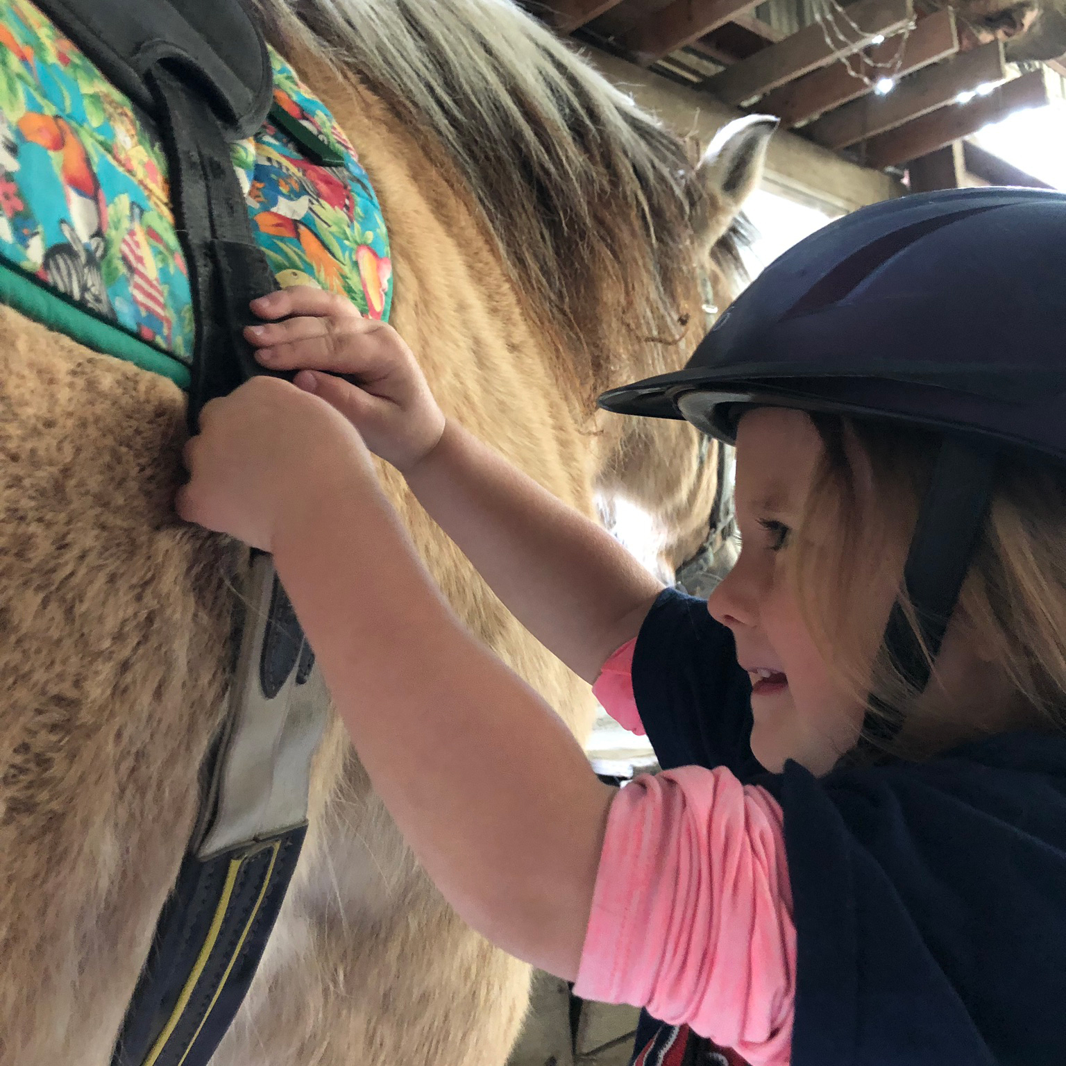 Child with horse at Willowind